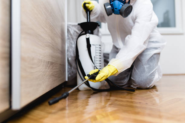 Best Affordable Pest Control Services  in Covington, WA