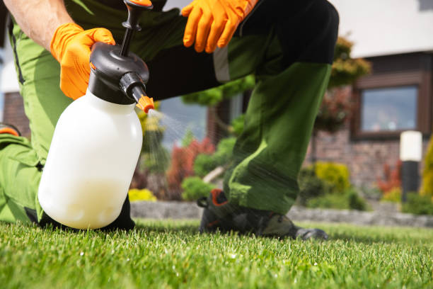  Covington, WA Pest Control Pros