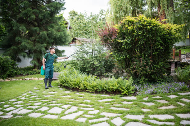 Best Emergency Pest Control  in Covington, WA