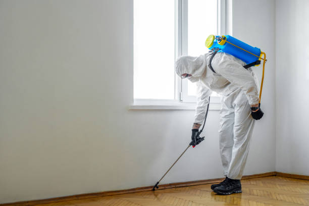 Best Best Pest Control Companies  in Covington, WA