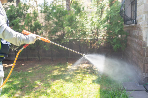Best Exterminator Services  in Covington, WA