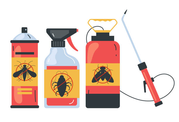 Flea Control Services in Covington, WA