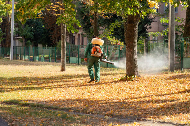 Best Cockroach Control Services  in Covington, WA