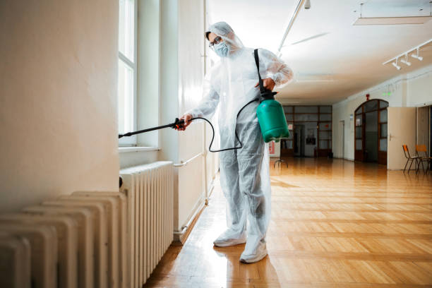 Best Flea Control Services  in Covington, WA