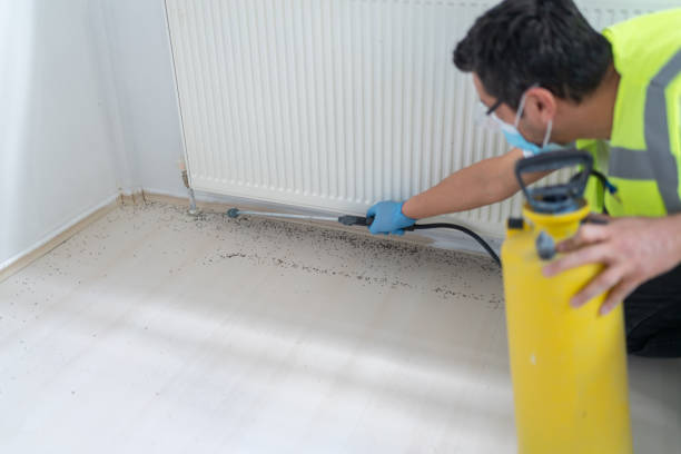 Best Bed Bug Extermination  in Covington, WA